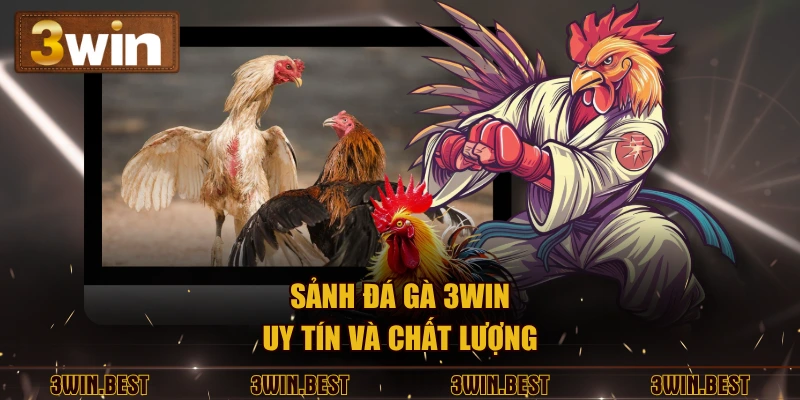 Sảnh đá gà 3WIN uy tín và chất lượng